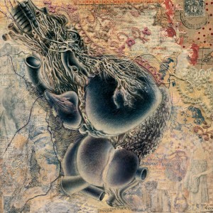 20X20 N°21